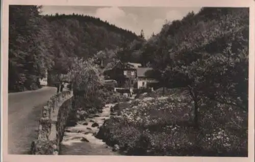 Trusetaler Wasserfall - Gast- und Pensionshaus - 1957