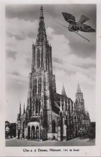 Ulm - Münster - 1950