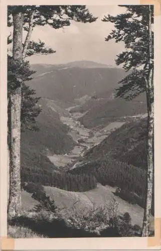 Feldberg / Schwarzwald - ca. 1955