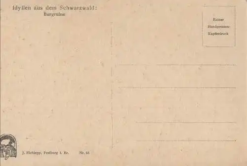 Schwarzwald - Burgruine