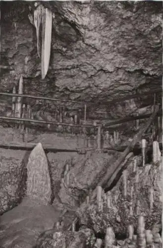 Sophienhöhle - SophienhBienenkorb mit Elefantenohr - ca. 1960