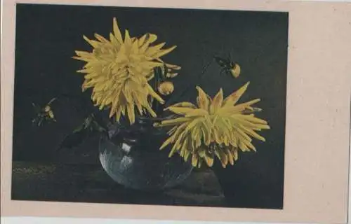 Blumen gelb, in Vase