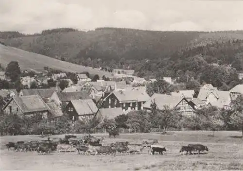 Fischbach - Thür. Wald - ca. 1965