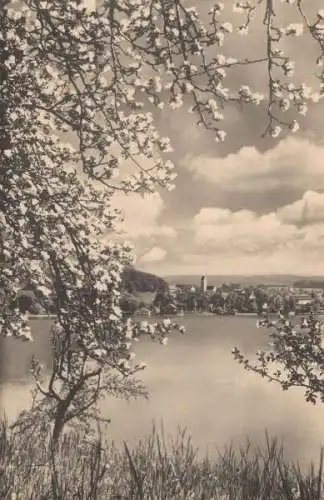 Wörthsee-Steinebach - im Frühling