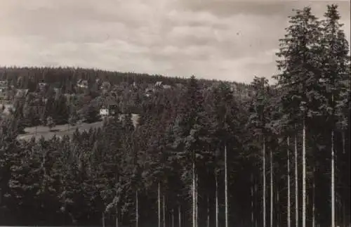 Altenberg-Bärenburg - 1968