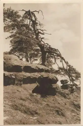 Sächsische Schweiz - auf dem Rauschenstein