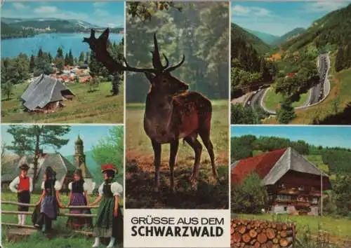 Schwarzwald - mit 5 Bildern - 1978