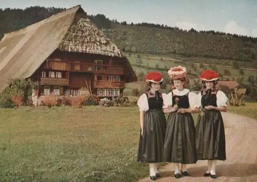 Schwarzwald - Gutachtal - ca. 1980