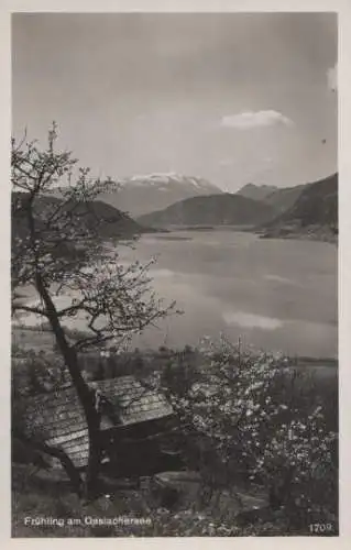 Österreich - Österreich - Frühling am Ossiachersee - ca. 1935