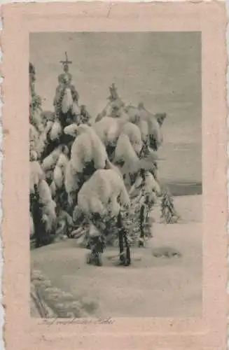 Winterbild - auf verschneiter Höhe