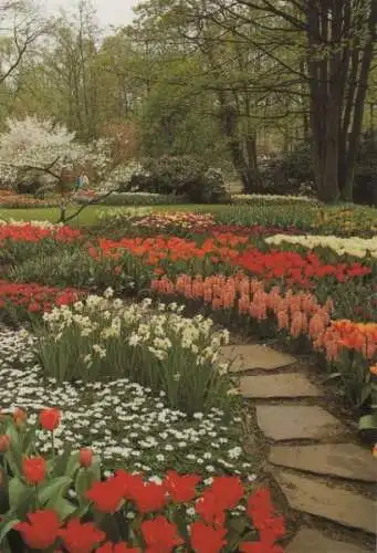 Niederlande - Niederlande - Lisse - Keukenhof - ca. 1980