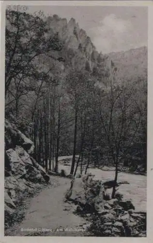 Bodetal - Am Waldkater