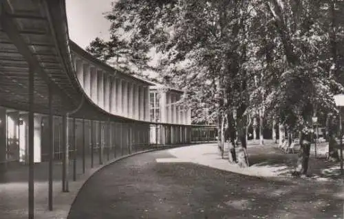 Bad Mergentheim - Wandelhalle Kurpark - 1955