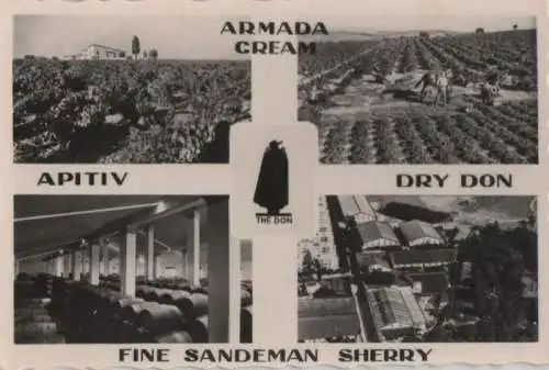 Spanien - Spanien - Jerez de la Frontera - Sandeman Vineyards and Bodegas - ca. 1960