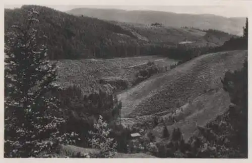 Schwarzburg - Schweizerhaus im Schwarzatal - ca. 1955