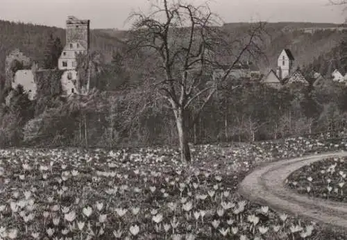 Bad Teinach - Zavelstein - ca. 1965