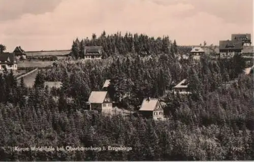 Altenberg-Oberbärenburg - Waldidylle - 1962