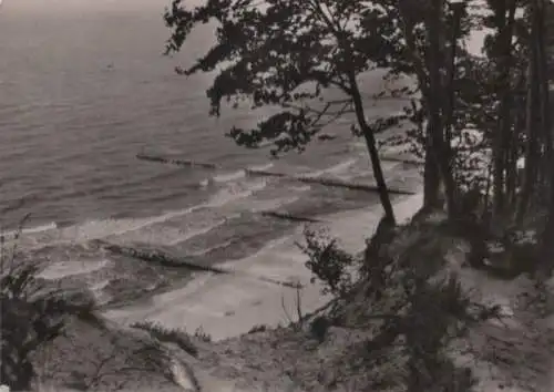 Usedom - Hochufer - 1961