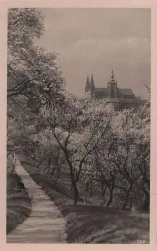 Tschechien - Tschechien - Prag - Praha - Hradschin - ca. 1950