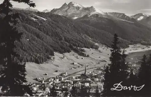 Schweiz - Davos - Schweiz - Blick aus dem Schatzalpwald