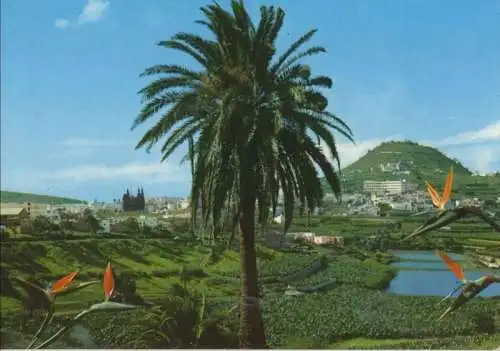 Spanien - Arucas - Spanien - Paisaje