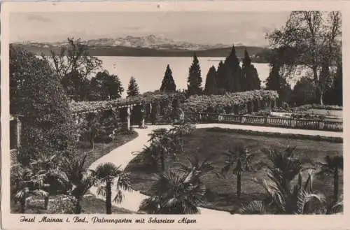 Mainau - Palmengarten mit Schweizer Alpen - 1952