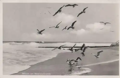 Möwen am Meer - 1938