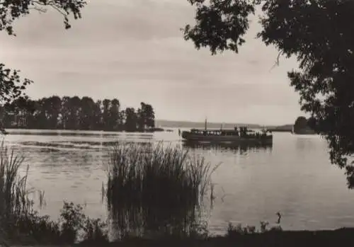 Bad Saarow-Pieskow - MS Scharmützelsee vor dem Kleinen Werl - 1974