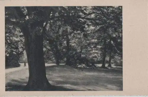 Ein unbekannter Park - ca. 1955