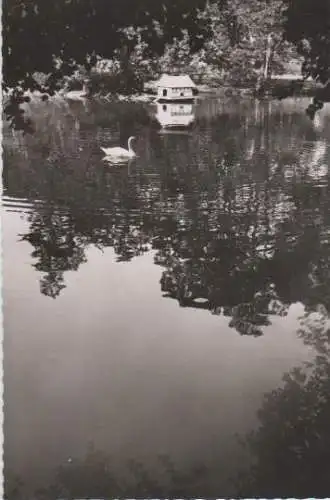 Bad Driburg - Kurpark - ca. 1955