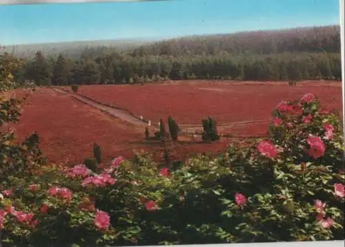 Lüneburger Heide - Totengrund