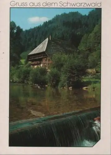 Schwarzwald - 1989