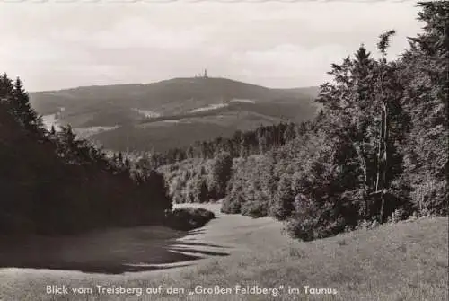 Großer Feldberg - Blick vom Treisberg