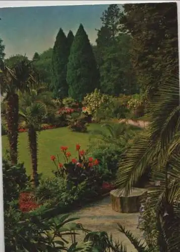 Mainau - Blick vom Palmengarten