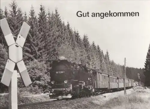 Damoflok - Gut angekommen