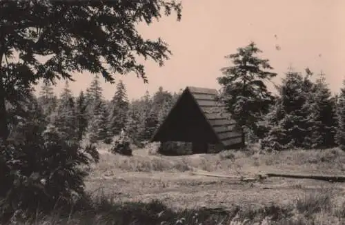 Georgenfelder Hochmoor - 1963