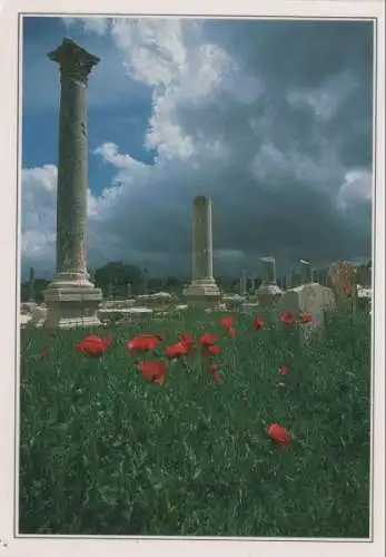 Türkei - Denizli - Türkei - Ruins of Aphrodisias