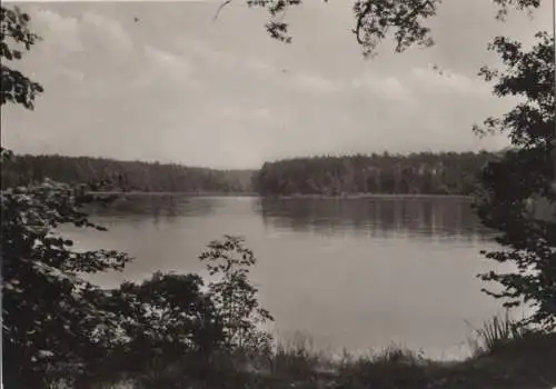 Dahlen-Ochsensaal - Dammühlenteich - ca. 1965