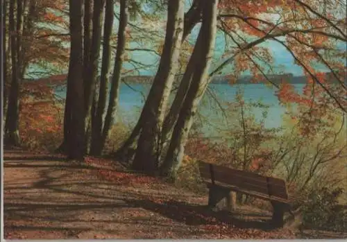 Waldweg am See - ca. 1980