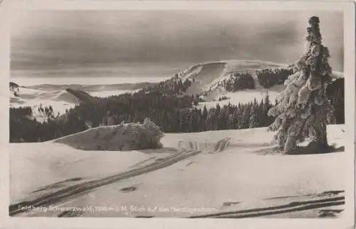 Feldberg / Schwarzwald - Blick auf Herzogenhorn - 1929