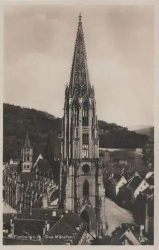 Freiburg - Das Münster - ca. 1950