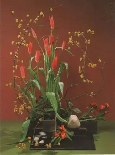 Cornus mit Aladin-Tulpen Arrangement