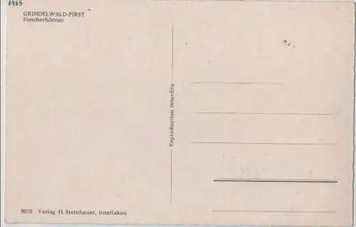 Schweiz - Grindelwald - Schweiz - First, Fiescherhörner