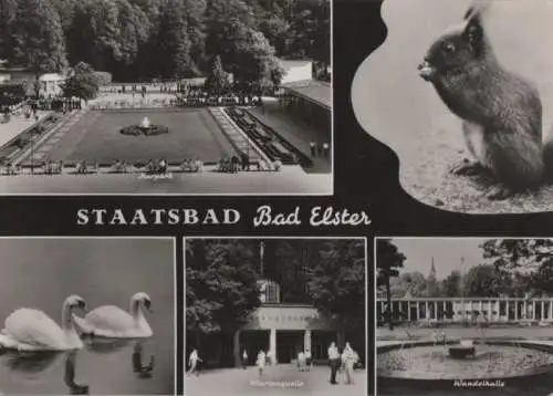 Bad Elster - u.a. Wandelhalle - 1968