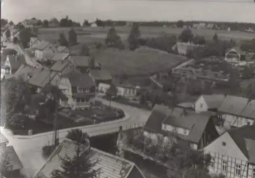 Tanne im Harz - 1976