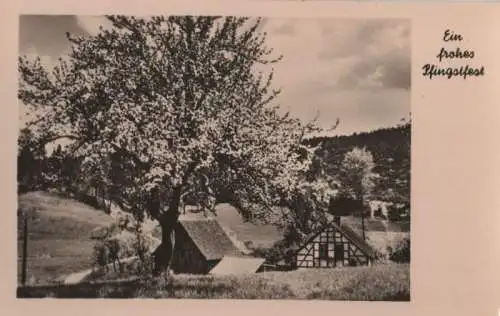 Frohes Pfingstfest blühender Baum