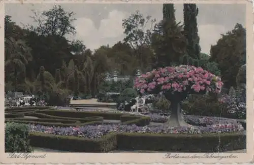 Bad Pyrmont - Partie aus dem Palmengarten - ca. 1925