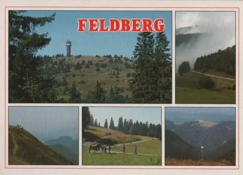 Großer Feldberg - ca. 1985