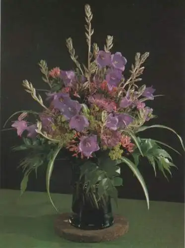 Campanula Arrangement