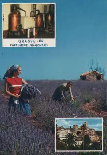 Frankreich - Frankreich - Grasse - Cite des Fleurs - ca. 1980